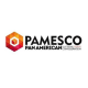 pamesco beyond legal mentors