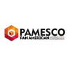 pamesco beyond legal mentors